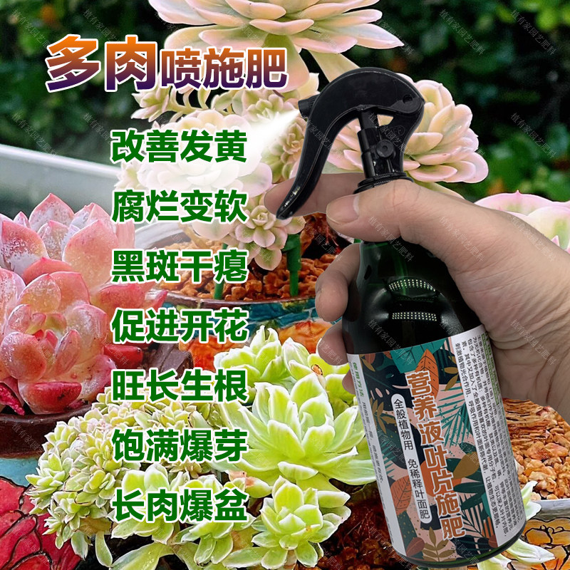 多肉专用肥料老桩多肉植物专用土花肥多彩熊童子锦营养液叶面肥料,鲜花速递/花卉仿真/绿植园艺,家庭园艺肥料,淘宝优惠券,粉丝福利购,淘宝优惠卷