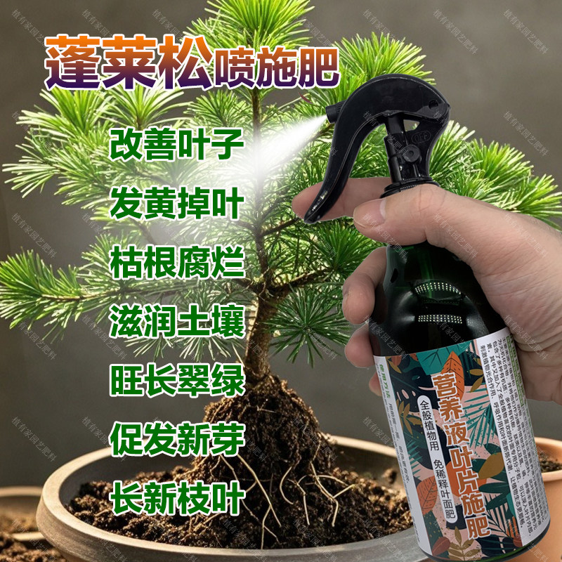 蓬莱松专用肥料养殖盆栽土壤养护营养液旺长翠绿促发新芽叶面肥料,鲜花速递/花卉仿真/绿植园艺,家庭园艺肥料,淘宝优惠券,粉丝福利购,淘宝优惠卷