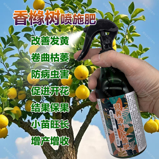 香橼树专用肥料土营养液开花肥结果保果小苗旺长增产增收叶面肥料