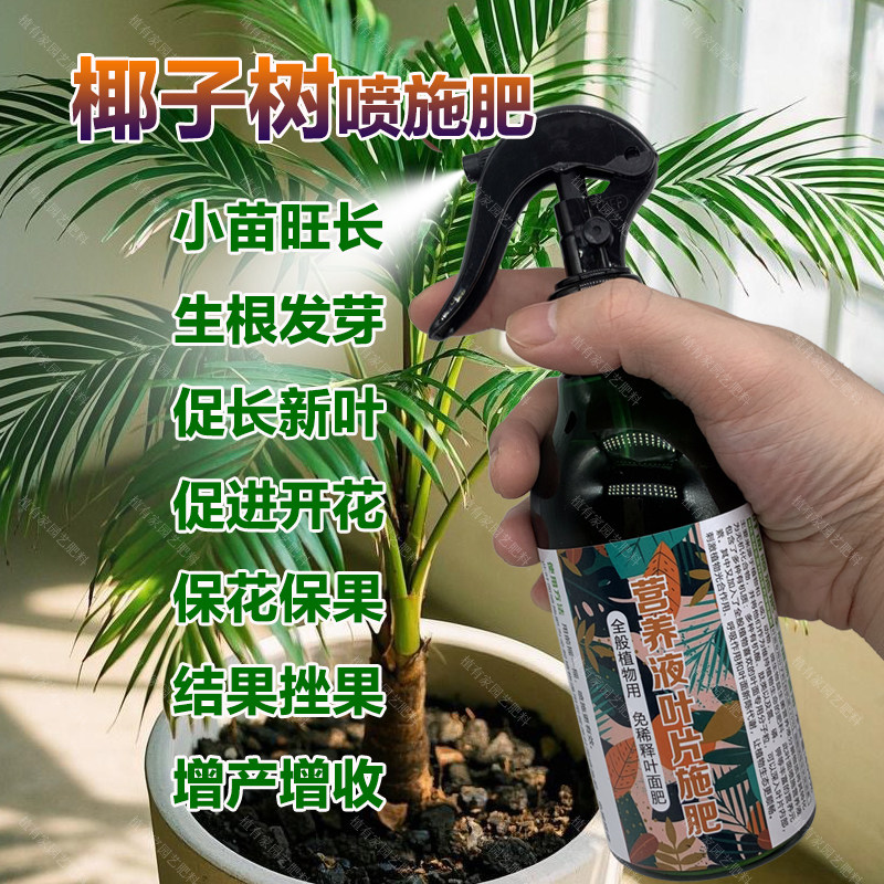 椰子树专用肥料种植树苗营养液小苗旺长生根发新芽长新叶面肥肥料,鲜花速递/花卉仿真/绿植园艺,家庭园艺肥料,淘宝优惠券,粉丝福利购,淘宝优惠卷