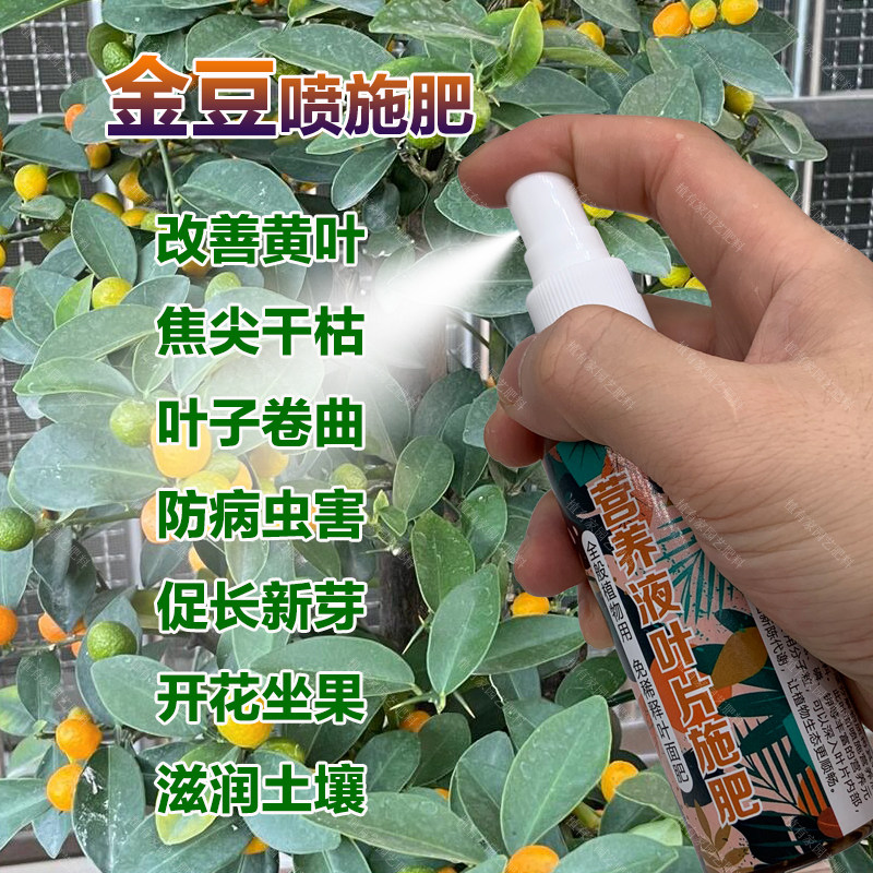 金豆专用肥料改善黄叶焦尖干枯叶子卷曲防病虫害盆景营养液花肥料,鲜花速递/花卉仿真/绿植园艺,家庭园艺肥料,淘宝优惠券,粉丝福利购,淘宝优惠卷