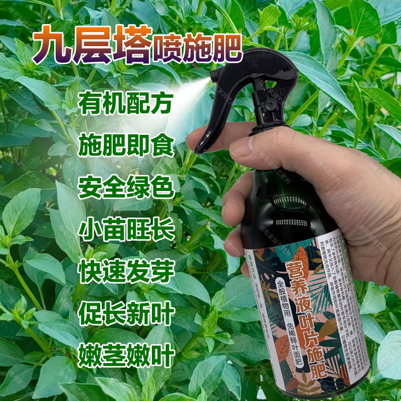九层塔专用肥料专用土种植盆栽金不换喷剂养殖营养液罗勒叶面肥料