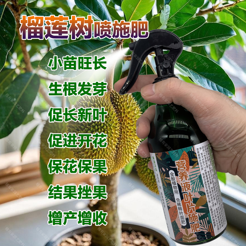 榴莲果树专用肥料盆栽小苗旺长生根促发新芽长新叶营养液叶面肥料