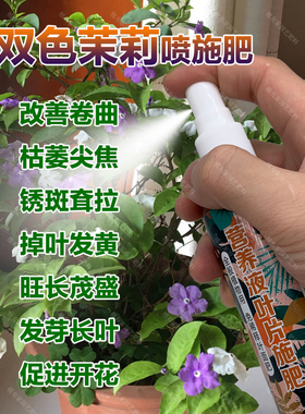 双色茉莉花专用肥料营养液卷曲牯萎尖焦锈斑耷拉掉叶发黄叶面肥料