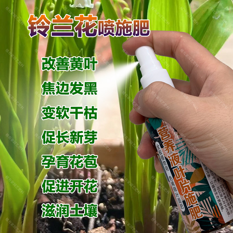 铃兰专用肥料盆栽植物改善叶子发黄焦边变软发黑营养液铃兰花肥料,鲜花速递/花卉仿真/绿植园艺,家庭园艺肥料,淘宝优惠券,粉丝福利购,淘宝优惠卷