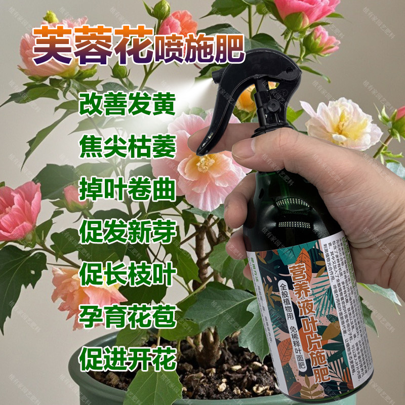 芙蓉花专用肥料土盆栽树苗三醉芙蓉花苗木芙蓉花肥营养液叶面肥料,鲜花速递/花卉仿真/绿植园艺,家庭园艺肥料,淘宝优惠券,粉丝福利购,淘宝优惠卷