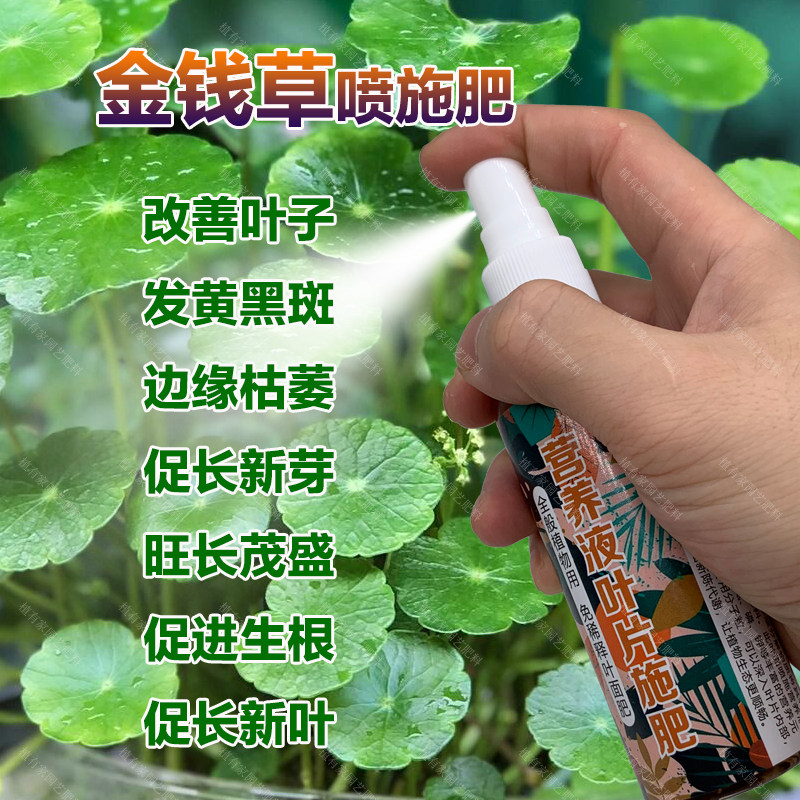 金钱草专用肥料水草养殖盆栽绿植物叶子发黄黑斑枯萎营养液肥肥料,鲜花速递/花卉仿真/绿植园艺,家庭园艺肥料,淘宝优惠券,粉丝福利购,淘宝优惠卷