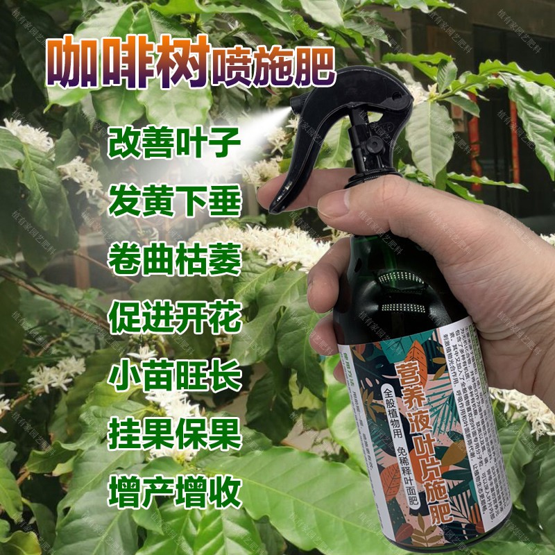 咖啡树专用肥料盆栽营养液开花小苗旺长挂果保果增产增收叶面肥料,鲜花速递/花卉仿真/绿植园艺,家庭园艺肥料,淘宝优惠券,粉丝福利购,淘宝优惠卷