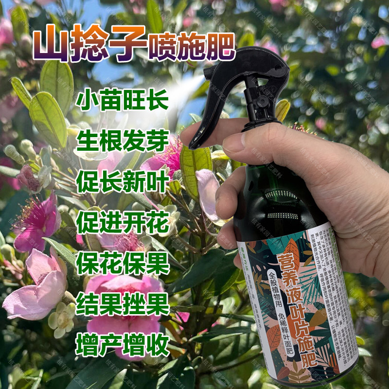 山捻子专用肥料盆栽种植桃金娘营养液旺长生根发芽促长新叶面肥料,鲜花速递/花卉仿真/绿植园艺,家庭园艺肥料,淘宝优惠券,粉丝福利购,淘宝优惠卷