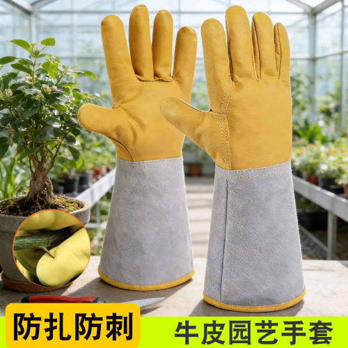 长款园艺手套牛皮防刺防