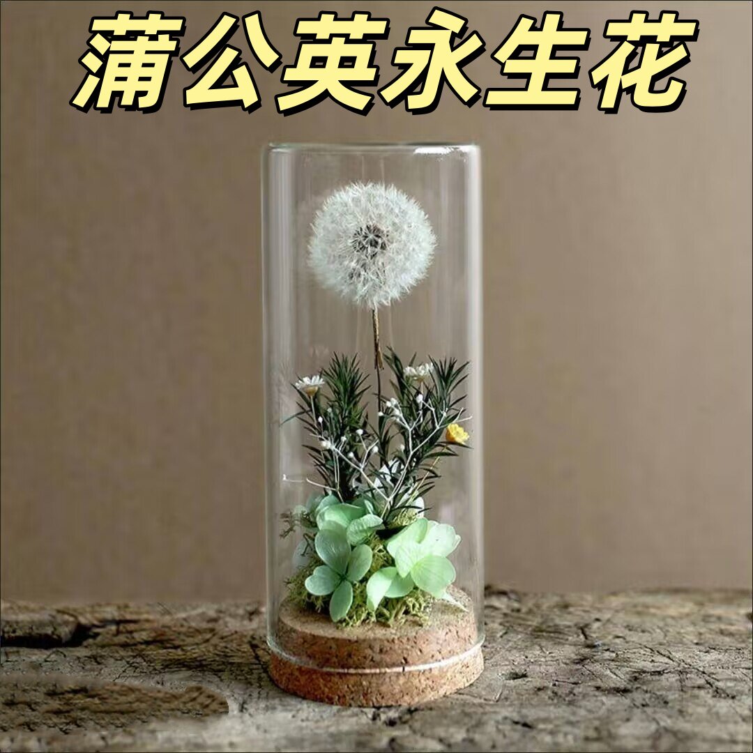蒲公英永生花成品玻璃罩摆件微景永生花