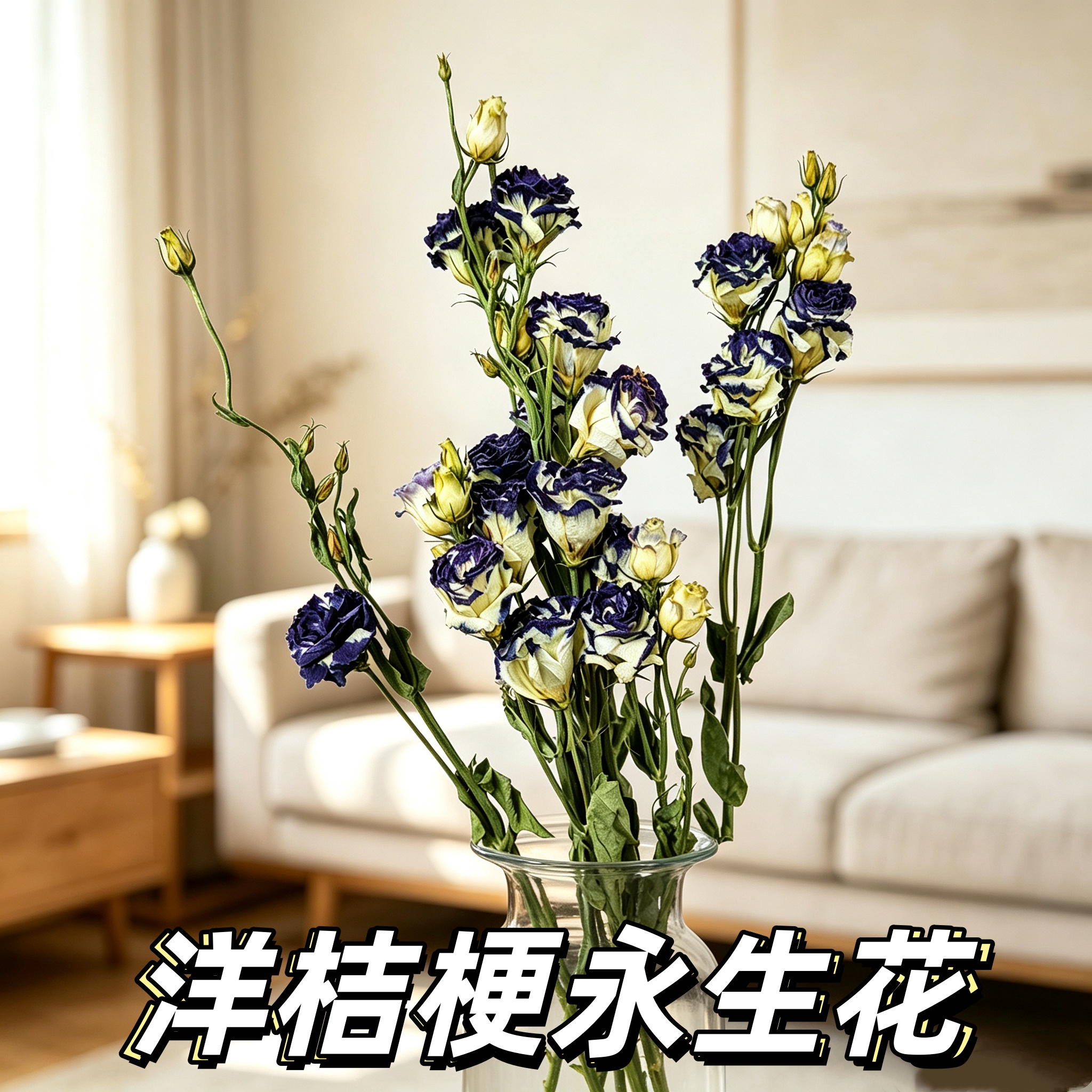 洋桔梗永生花造景装饰插花diy画框干花天然风干真花北欧风装饰花