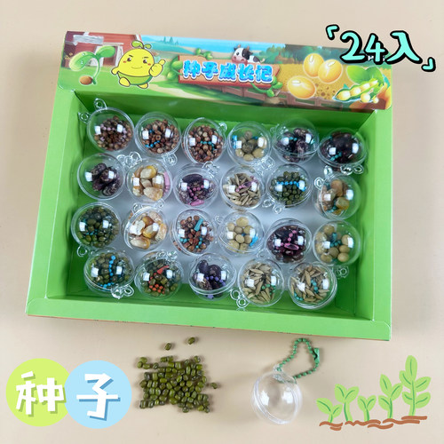 玉米绿豆稻谷春季植物种子