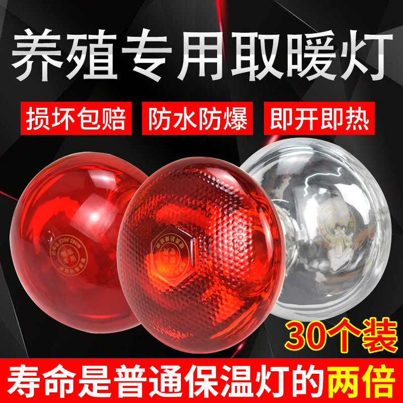 保温灯养殖场专用红外线仔猪小鸡养殖取暖保暖加热灯泡猪兽用烤灯