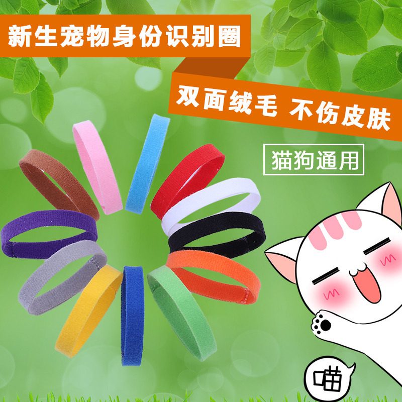 新生狗狗识别项圈绑带色带分别