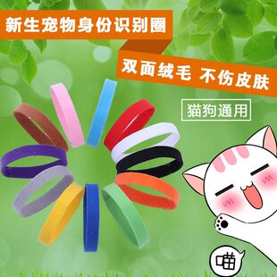 新生狗狗识别项圈绑带脖颈泰迪小型小猫咪猫狗色带分别狗宝宝幼崽