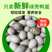 农家散养新鲜鸭蛋生鸭蛋土鸭蛋80 100克放养大个绿壳青皮草鸭子蛋