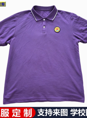 定制襄阳市田家炳中学校服短袖纯棉紫色夏款学生校服半袖T恤订做