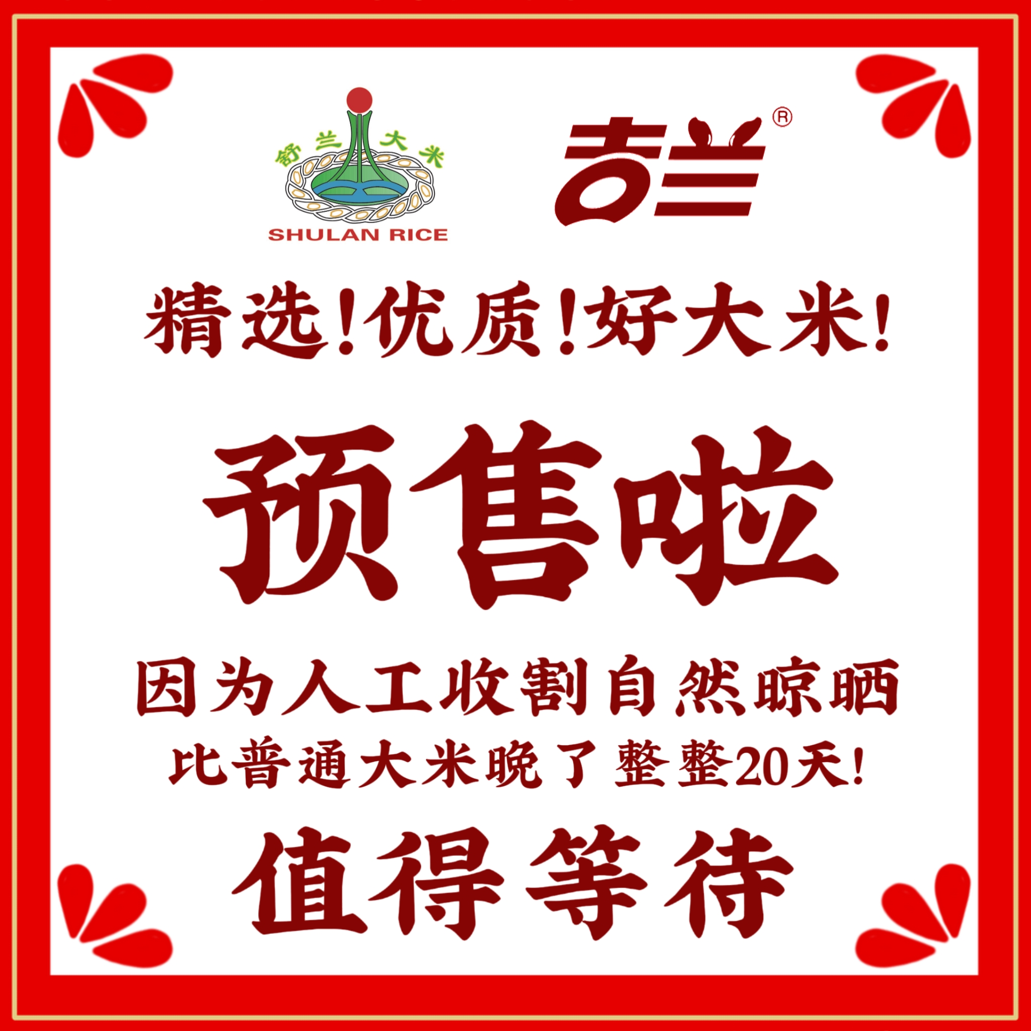预订有优惠2025年新米舒兰大米【人工收割自然成熟】11月初上新