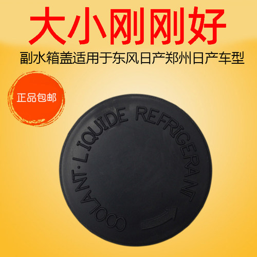 专用于阳光玛驰蓝鸟奇骏副水箱