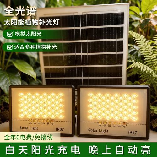 全光谱太阳能植物生长灯一拖二户外庭院阳台促生长结果植物补光灯