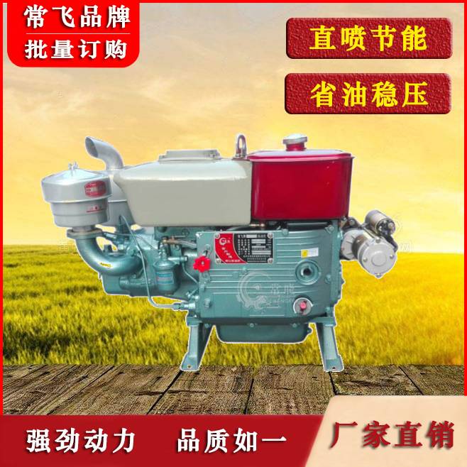 常州单缸柴油机 水冷 ZS195系列 12马力 常飞牌 厂家直销