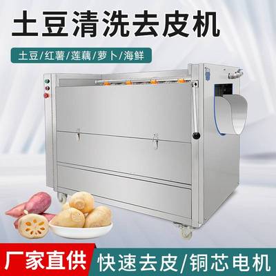 商用土豆多功能莲藕生姜机生蚝全自动清洗脱皮机毛刷去皮土豆猪蹄