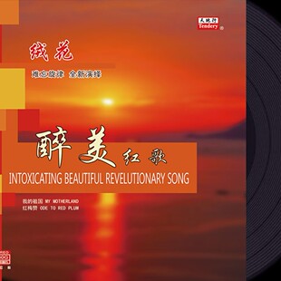 经典老歌黑胶唱片正版LP红歌绒花怀旧歌曲留声机专用12寸碟片33转