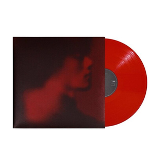 正版 红胶LP 张杰专辑 黑胶唱片 华语流行音乐 外南街1982 原装