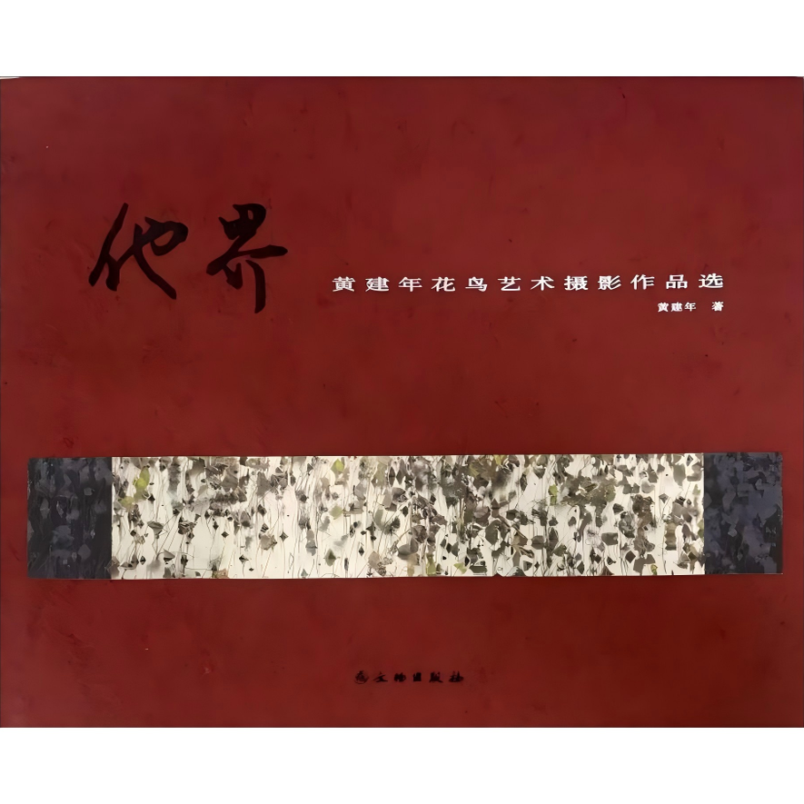 他界——黄建年花鸟艺术摄影作品选 黄宾虹 黄建年 艺术 摄影 中国花鸟画 审美 他界-1 湖北省摄影艺术展商业类银奖 文物出版社