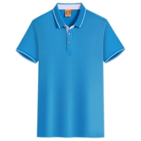 【Dragon большой Ti Flower 1878】 Kong Blue