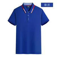 【38 Yuan Botian Si BA08】 Cailan Color