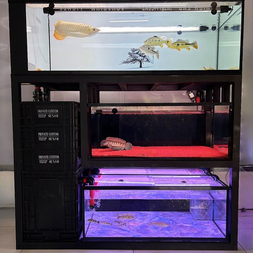 定制多层高承重鱼缸架展架底柜极窄溢流溪流缸水族馆养殖厂组缸架