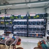 多层重型鱼缸架子系统缸组缸水族馆鱼房鱼缸支架温室繁殖 包邮