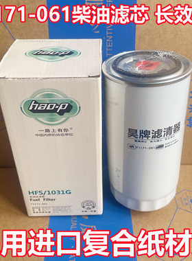 F1171-061柴油滤芯X10018956云内D25TCIE-110078柴油滤清器柴油格