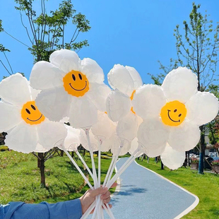饰布置 网红ins小雏菊太阳花笑脸花朵气球汽学校幼儿园生日派对装