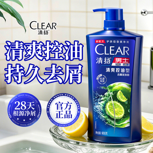 清扬洗发水男士900g大容量控油蓬松去屑家用官方正品止痒头膏露液