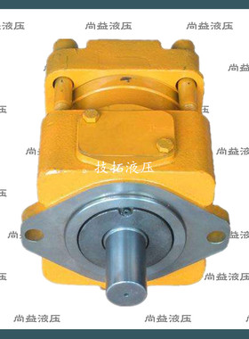 原装日本住友液压油泵SUMITOMO内啮合齿轮泵QT23-5F-S1010-A油泵