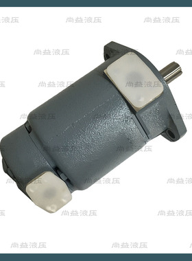 ANSON 台湾 安颂IVP21 IVP31 IVP32 IVP41 IVP42 IVP43双联叶片泵