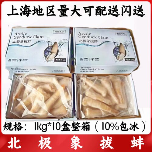 北极象拔蚌1kg*10盒整箱刺身级解冻切片即食含冰象牙蚌商用日料