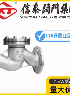 XT中国信泰阀门316L不锈钢升降式止回阀H41W/H-16-25/40/64/100RL