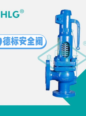 良固阀门集团A48E-16/25C德标铸钢法兰全启式安全阀SV607蒸汽非标