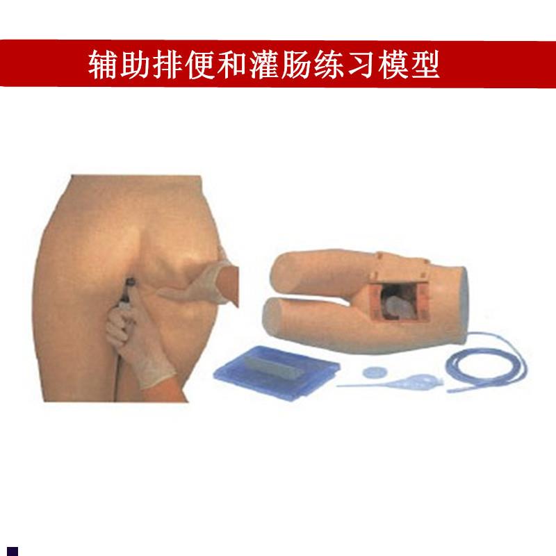 辅助排便和灌肠练习模型医院培训护士训练模型肛.门检查模型