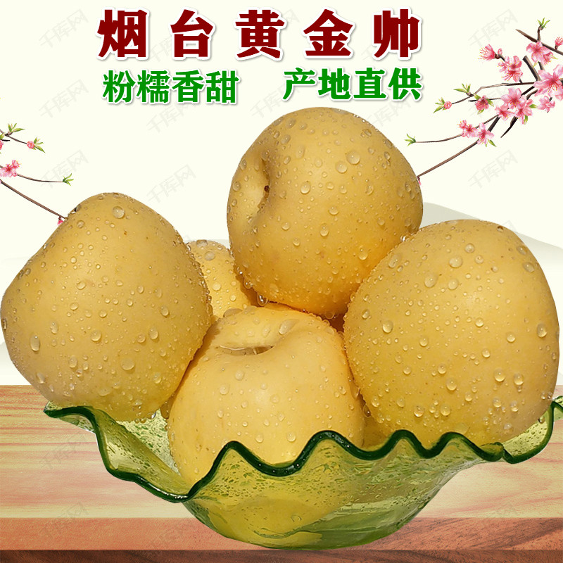 山东烟台黄金帅粉面刮泥鲜甜黄元帅新鲜水果黄香蕉沙苹果5斤十斤