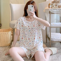 HDX Dual Short-TT5008-Women