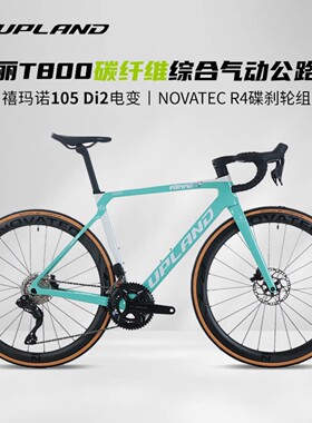 UPLAND阿普兰生肖兔车自行车碳纤维综合气动电变24速女骑限量