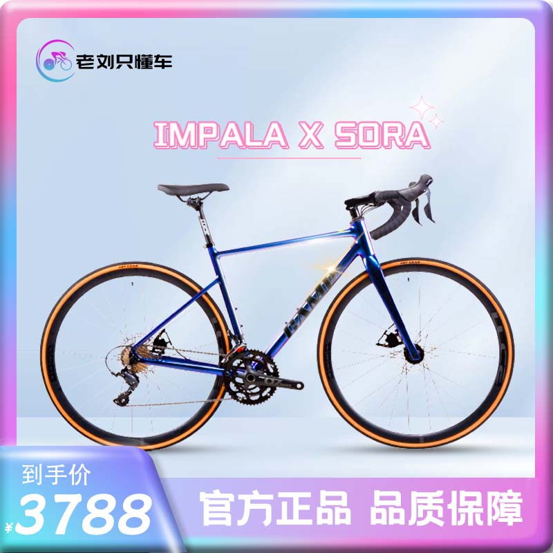 CAMP坎普公路车IMPALA X SORA 版线拉油碟18速铝合金公路车9.8KG