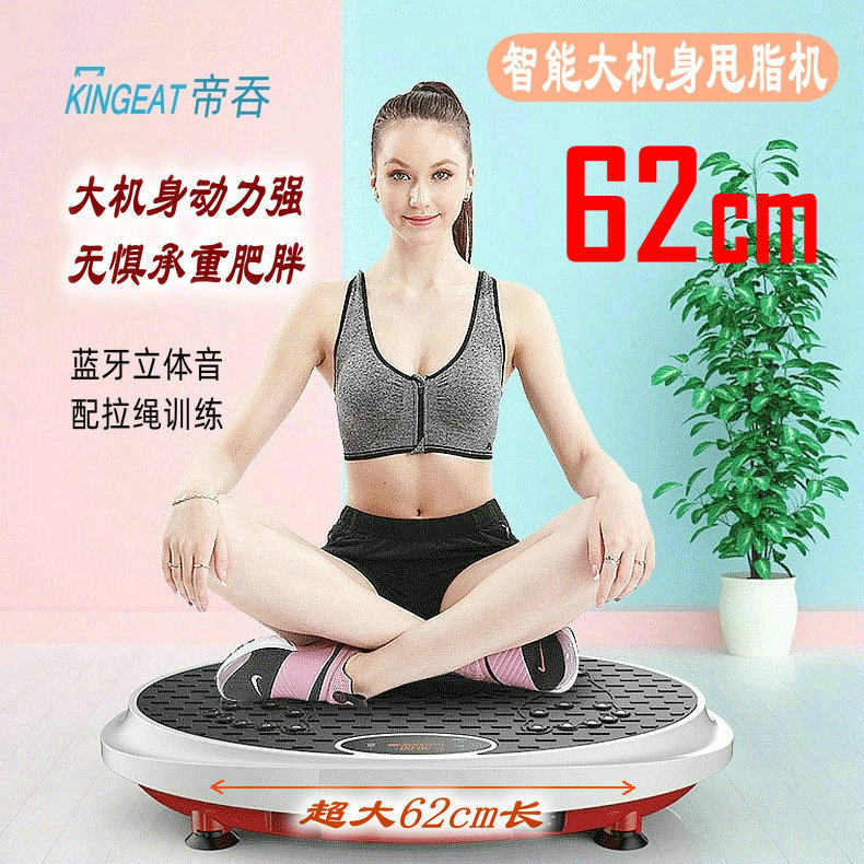 帝吞大型减肥抖抖机甩脂机全身燃脂塑形有氧爆脂机瘦腹懒人瘦身机