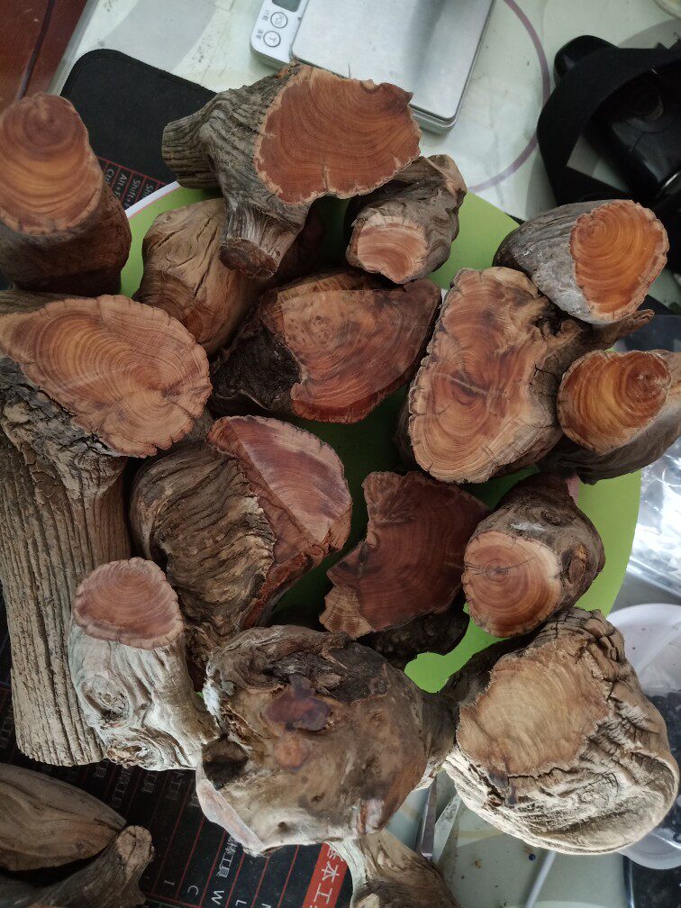 太行崖柏5 实木精品 白粉黑油 闪电留疤纹理 手把件料 雕刻料原木