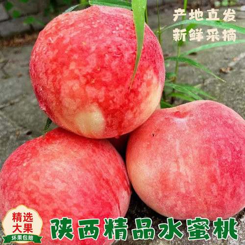 陕西礼泉水蜜桃突围蜜桃8斤新鲜应季毛桃可剥皮香甜爆汁糯香包邮